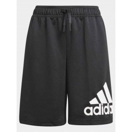 D2m Big Logo Shorts