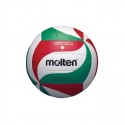 Volleyball-V5M1500