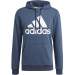 Essentials Big Logo Kapuzenpullover