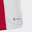 Ajax F.C 2022/2023 Heimtrikot