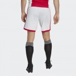 Ajax F.C 2022/2023 Shorts