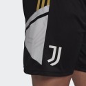 Juventus Shorts