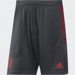 FC Bayern München Shorts