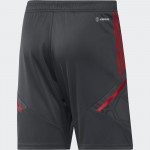 FC Bayern München Shorts