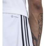 Juventus 2022/2023 Shorts