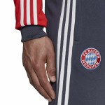 FC Bayern München DNA Hose