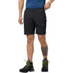 Herren Shorts-1505951