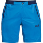 Herren Shorts-1505951