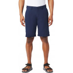 Herren Shorts-14919568