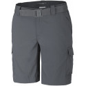 Silver Ridge 2 Shorts