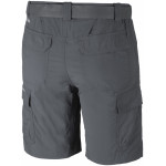 Silver Ridge 2 Shorts