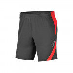 Dri-fit Academy Pro Shorts