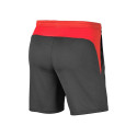 Dri-fit Academy Pro Shorts