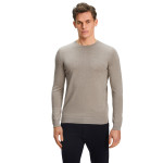 Herren Pullover-60910